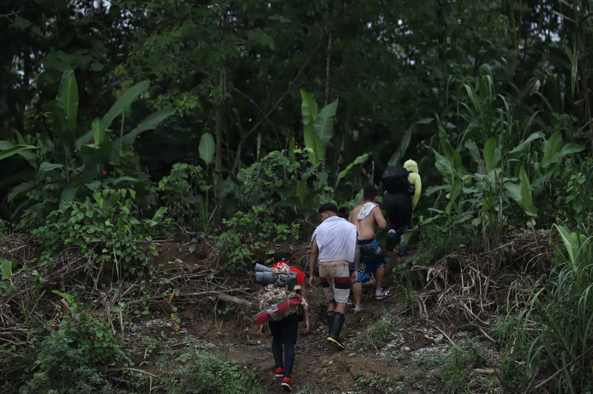 Darién La pesadilla del migrante empieza al cruzar la selva