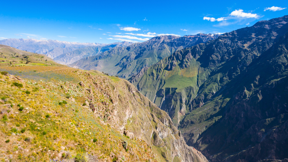 Chimborazo La Presunta Identidad De Un Cuerpo Incinerado En Guamote