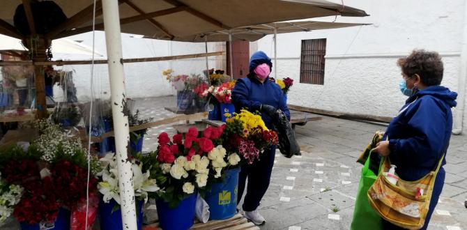 thumbnail_CUENCA ANITA PINTADO ATIENDE A UNA DE SUS CLIENTES EN LA VENTA DE FLORES 8