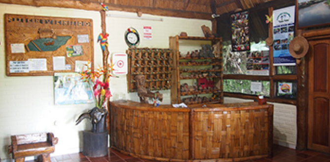 Instalaciones de la hostería Los Helechos, en Tena.