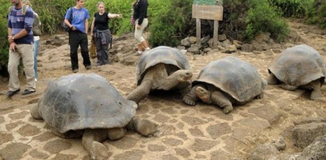 Galápagos turismo