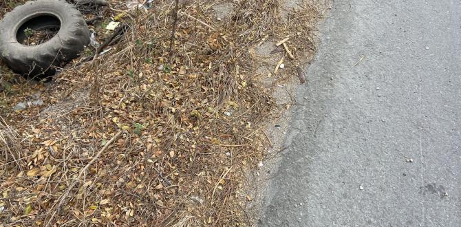 En este lugar fue abandonado un cuerpo baleado, en vía a la Costa.