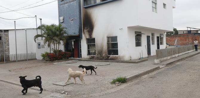 En esta UPC ubicada en la cooperativa Héctor Cobos lanzaron una bomba molotov.