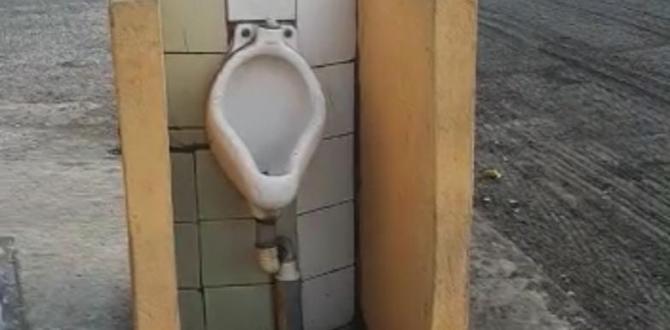urinario