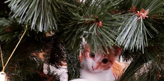 gato en árbol