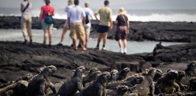 El turismo en Galápagos esta a 1 % de llegar a las cifras prepandemia