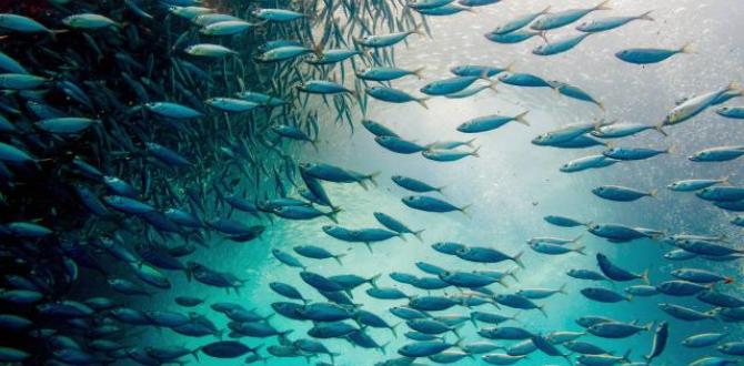 El calentamiento del mar reducirá el tamaño de los peces, según un estudio