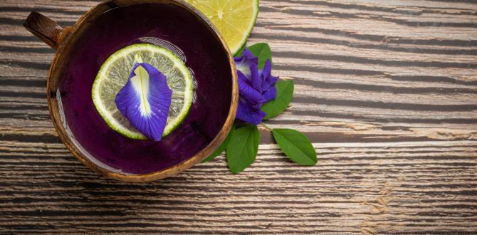 bebida-saludable-te-flor-guisante-azul-organico-limon-lima