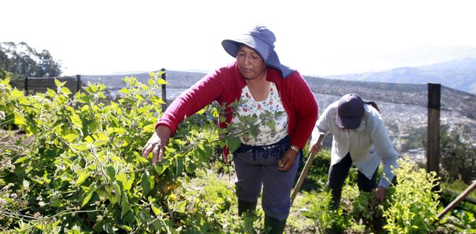 Estas mujeres labran la tierra sin importar las condiciones climáticas.