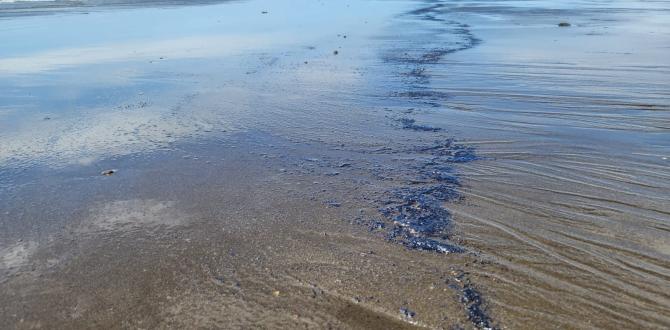 Petróleo se derramó en la playa Las Palmas.