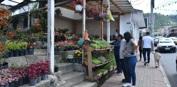 La venta de plantas ha hecho que Nayón se conozca como el Jardín de Quito.