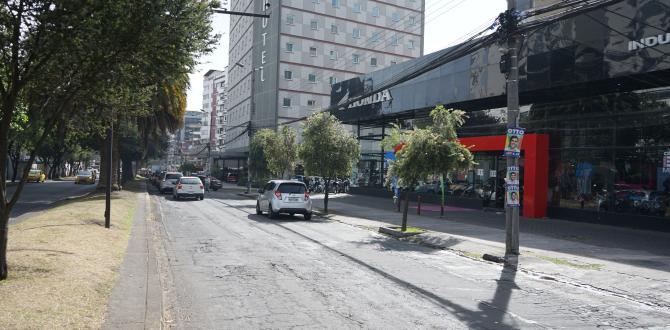 El hecho ilícito fue perpetrado en la avenida Diego de Almagro, en el norte de Quito.