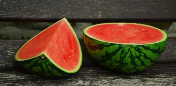 watermelon-815072_1280