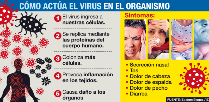 coronavirus - Quito -paciente