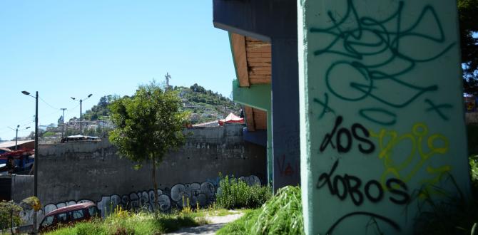 Comunidad - San Roque - inseguridad