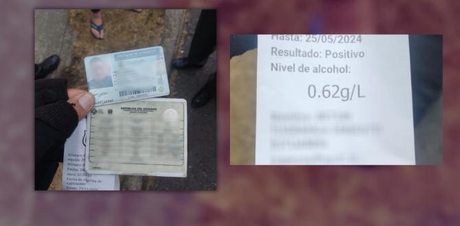 Estos documentos fueron publicados por la ATM, en referencia al caso del conductor alcoholizado.