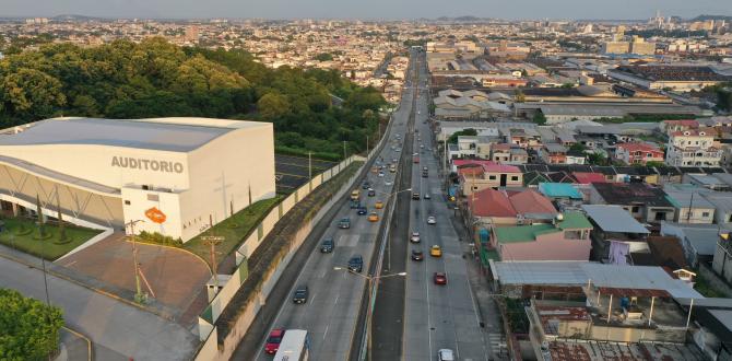 Calle Felipe Peso o l (12549196)