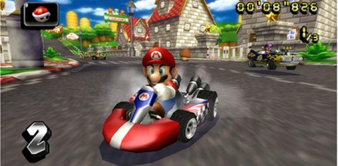 El videojuego de Mario Kart para Wii.