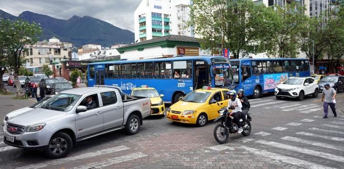 Pico y Placa - Quito - Luz