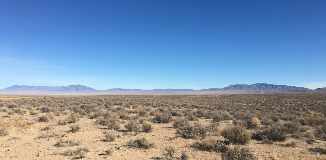 El Área 51 se halla en el sur del estado de Nevada, Estados Unidos.