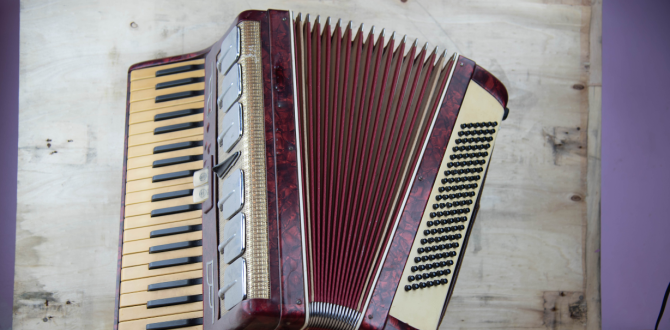 El acordeón, instrumento base del vallenato.