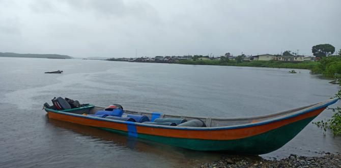 Algunos botes fueron hallados en el lugar.