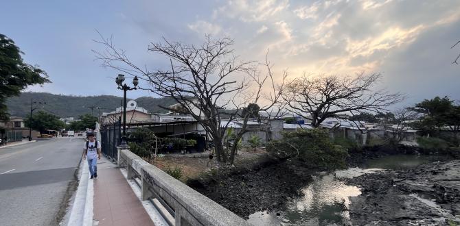 Muchas urbanizaciones se han levantado sobre el manglar, impidiendo su flujo de agua.