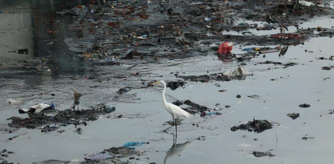 Estero Salado de Guayaquil contaminación ambiental.jpg