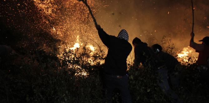 INCENDIOS FORESTALES QUITO