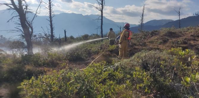 Bomberos locales apaciguaron las llamas en el sitio.