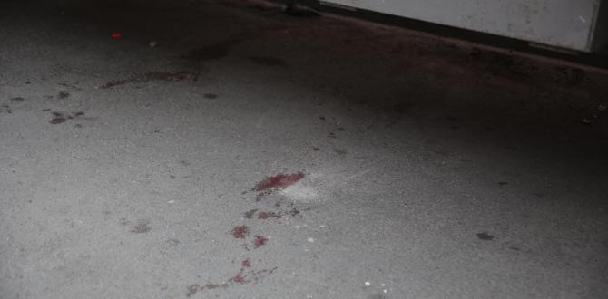 Las manchas de sangre quedaron en el piso.