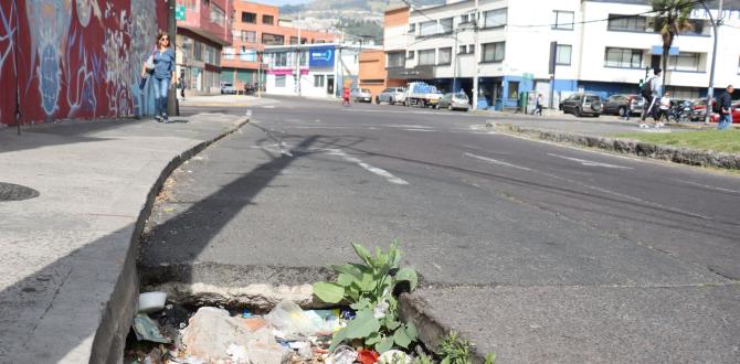 Este es uno de los huecos que hay sobre la calle Versalles, cerca de la avenida Pérez Guerrero.