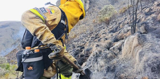 Hay sitios en pendientes a las que los bomberos no pueden acceder. Sin embargo, donde pueden hacerlo, atacan de manera manual a las llamas.