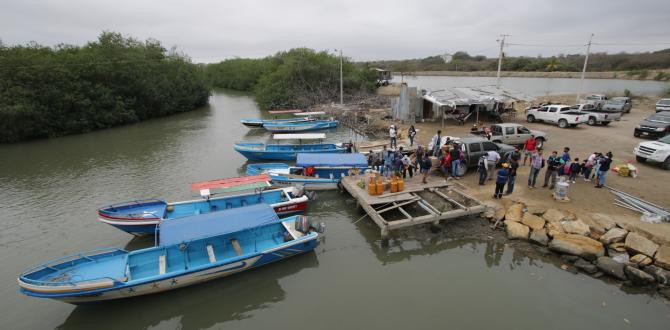 Imagen referencial. En Isla Puná hay miedo por GDO.