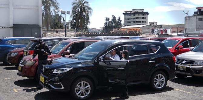 Los carros continúan parqueads en la capital.