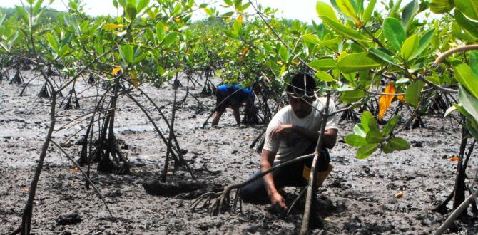 Concheros encontraron uno de los cuerpos, en un manglar.