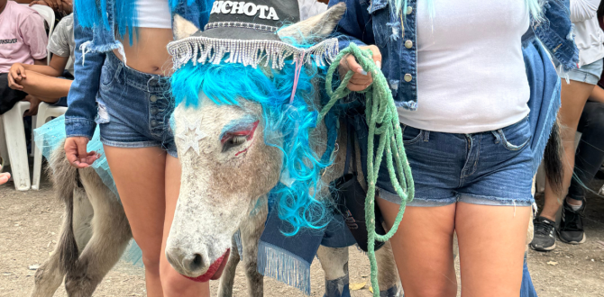 La Bichota deslumbró al jurado del concurso.