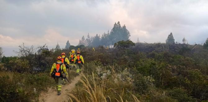 Algunos sembríos quedaron reducidos a nada por el daño del fuego.