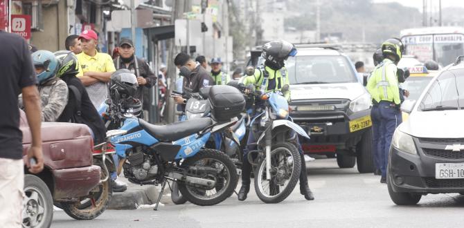 Dos personas han sido detenidas en estos operativos.