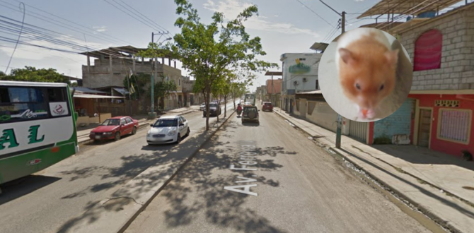 Avenida Ferroviaria en Machala.