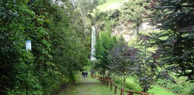 CASCADA DE PALUZ (13346336)