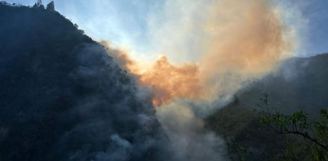 Sigchos sufre las consecuencias de un incendio forestal.