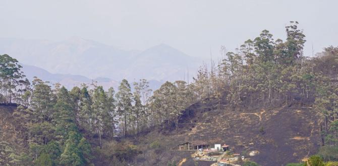 Dura batalla contra incendio forestal en Quilanga.