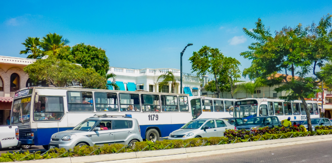 En Guayaquil, puede haber cambio en ordenanza.