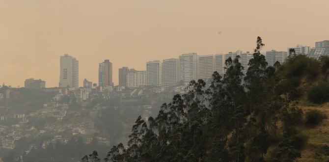 Una nube de humo y ceniza cubre ciertas partes de la capital.