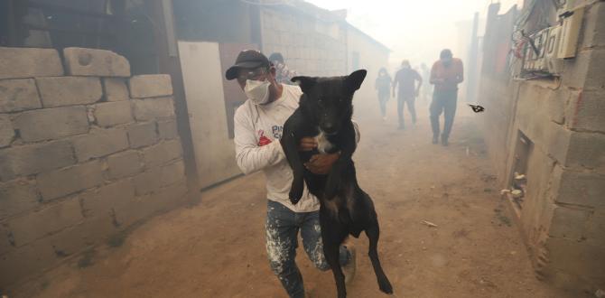 Nadie se queda. Moradores intentan salvar también a sus animales.