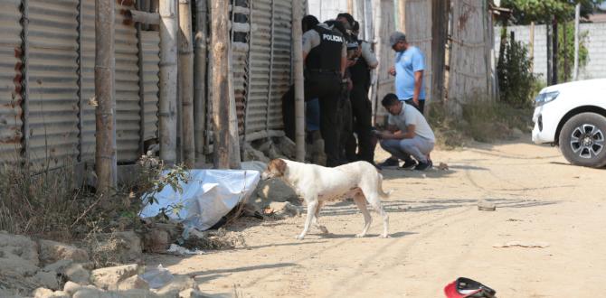 La víctima habría intentado escapar de sus agresores.