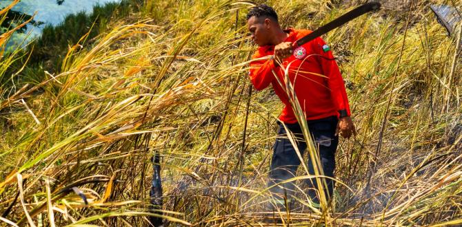 Cuerpo de Bomberos acudió a la emergencia.