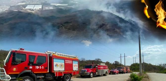 El Puerto Principal registra varios incendios forestales en las últimas semanas.