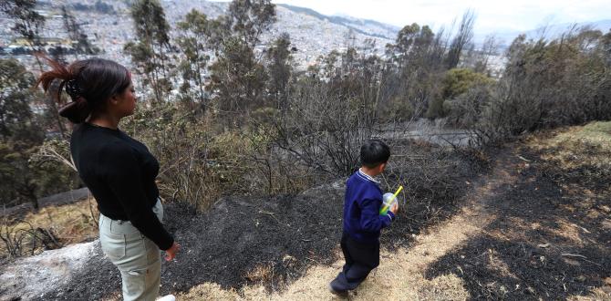 Incendios forestales Quito - Bomberos - Emergencia